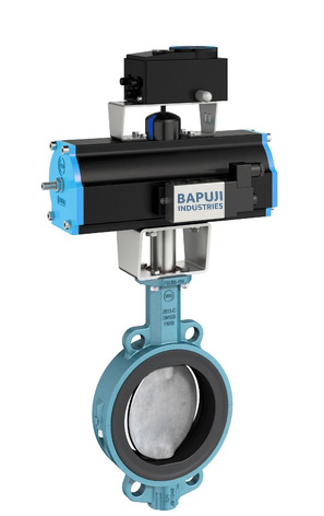 Butterfly control valve India