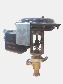 Sanitary Globe control valves India
