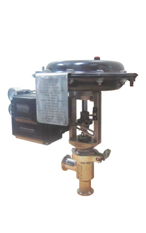 Sanitary globe control valve India